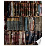 Pile Of Books Photo Of Assorted Book Lot Backyard Antique Store Canvas 20  x 24 