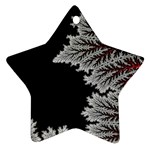 Math Formula Ornament (Star)