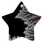 Math Formula Star Ornament (Two Sides)