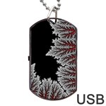 Math Formula Dog Tag USB Flash (Two Sides)