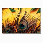 Oceans Stunning Painting Sunset Scenery Wave Paradise Beache Mountains Postcard 4 x 6  (Pkg of 10)