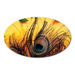 Peacock Feather Native Oval Magnet