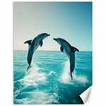 Dolphin Sea Ocean Canvas 18  x 24 