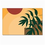 Arch Stairs Sun Branches Leaves Boho Bohemian Botanical Minimalist Nature Postcard 4 x 6  (Pkg of 10)