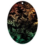 Fractal Patterns Gradient Colorful UV Print Acrylic Ornament Oval