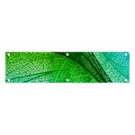 3d Leaves Texture Sheet Blue Green Banner and Sign 4  x 1 