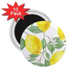 Fruit-2310212 2.25  Magnets (10 pack) 