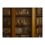 Books Book Shelf Shelves Knowledge Book Cover Gothic Old Ornate Library Two Sides Premium Plush Fleece Blanket (Mini)