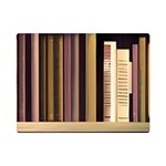 Books Bookshelves Office Fantasy Background Artwork Book Cover Apothecary Book Nook Literature Libra Premium Plush Fleece Blanket (Mini)