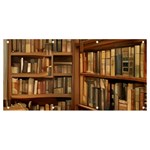 Room Interior Library Books Bookshelves Reading Literature Study Fiction Old Manor Book Nook Reading Banner and Sign 8  x 4 