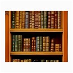 Room Interior Library Books Bookshelves Reading Literature Study Fiction Old Manor Book Nook Reading Small Glasses Cloth (2 Sides)