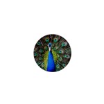 Peacock Bird Feathers Pheasant Nature Animal Texture Pattern 1  Mini Buttons