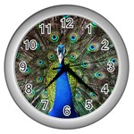 Peacock Bird Feathers Pheasant Nature Animal Texture Pattern Wall Clock (Silver)