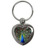 Peacock Bird Feathers Pheasant Nature Animal Texture Pattern Key Chain (Heart)