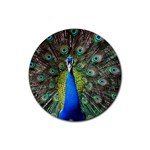 Peacock Bird Feathers Pheasant Nature Animal Texture Pattern Rubber Coaster (Round)