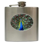 Peacock Bird Feathers Pheasant Nature Animal Texture Pattern Hip Flask (6 oz)