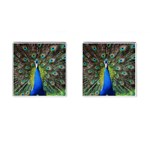 Peacock Bird Feathers Pheasant Nature Animal Texture Pattern Cufflinks (Square)