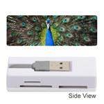 Peacock Bird Feathers Pheasant Nature Animal Texture Pattern Memory Card Reader (Stick)