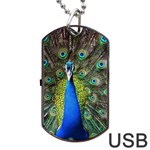 Peacock Bird Feathers Pheasant Nature Animal Texture Pattern Dog Tag USB Flash (Two Sides)