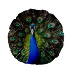Peacock Bird Feathers Pheasant Nature Animal Texture Pattern Standard 15  Premium Round Cushions