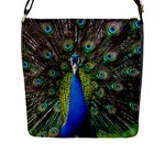 Peacock Bird Feathers Pheasant Nature Animal Texture Pattern Flap Closure Messenger Bag (L)
