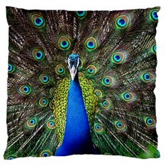 Peacock Bird Feathers Pheasant Nature Animal Texture Pattern Standard Premium Plush Fleece Cushion Case (Two Sides) from ArtsNow.com Back