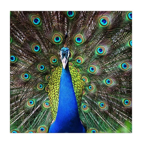 Peacock Bird Feathers Pheasant Nature Animal Texture Pattern Duvet Cover (Queen Size) from ArtsNow.com Front
