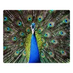 Peacock Bird Feathers Pheasant Nature Animal Texture Pattern Premium Plush Fleece Blanket (Large)