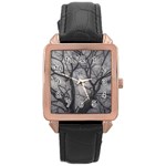 Landscape forest ceiba tree, guayaquil, ecuador Rose Gold Leather Watch 