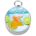 Fruits, Fruit, Lemon, Lime, Mandarin, Water, Orange Silver Compasses