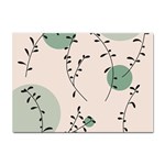 Plants Pattern Design Branches Branch Leaves Botanical Boho Bohemian Texture Drawing Circles Nature Sticker A4 (100 pack)
