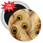 Vintage Peacock Feather Peacock Feather Pattern Background Nature Bird Nature 3  Magnets (100 pack)