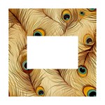 Vintage Peacock Feather Peacock Feather Pattern Background Nature Bird Nature White Box Photo Frame 4  x 6 