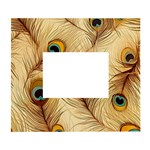 Vintage Peacock Feather Peacock Feather Pattern Background Nature Bird Nature White Wall Photo Frame 5  x 7 