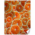 Oranges Patterns Tropical Fruits, Citrus Fruits Canvas 12  x 16 