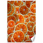 Oranges Patterns Tropical Fruits, Citrus Fruits Canvas 12  x 18 