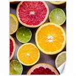 Oranges, Grapefruits, Lemons, Limes, Fruits Canvas 18  x 24 