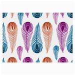Pen Peacock Colors Colored Pattern Large Glasses Cloth