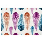 Pen Peacock Colors Colored Pattern Banner and Sign 6  x 4 