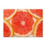 Grapefruit-fruit-background-food Sticker A4 (100 pack)
