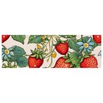 Strawberry-fruits Banner and Sign 9  x 3 