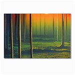 Outdoors Night Moon Full Moon Trees Setting Scene Forest Woods Light Moonlight Nature Wilderness Lan Postcard 4 x 6  (Pkg of 10)