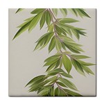 Watercolor Leaves Branch Nature Plant Growing Still Life Botanical Study Tile Coaster