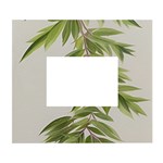 Watercolor Leaves Branch Nature Plant Growing Still Life Botanical Study White Wall Photo Frame 5  x 7 