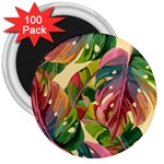 Monstera Colorful Leaves Foliage 3  Magnets (100 pack)