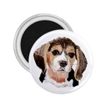 Beagle Puppy 2.25  Magnet