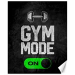 Gym mode Canvas 16  x 20 