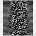 Joy Division Unknown Pleasures Pattern Canvas 20  x 24 