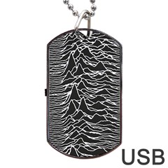 Joy Division Unknown Pleasures Pattern Dog Tag USB Flash (Two Sides) from ArtsNow.com Back