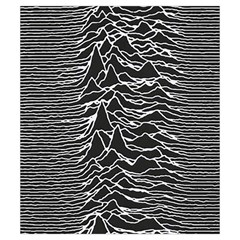 Joy Division Unknown Pleasures Pattern Drawstring Pouch (Small) from ArtsNow.com Back